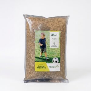 semillas de grama deportiva