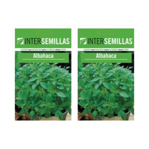 dos paquetes de semillas de albahaca que contienen 1 onza cada uno