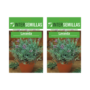 Dos sobres de semillas de lavanda frescas y vibrantes para cultivar en tu jardín o en macetas en casa