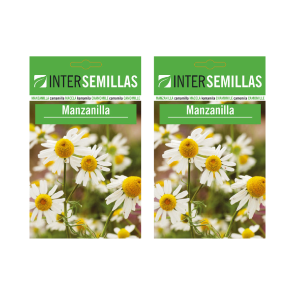 Imagen de dos sobres de semillas de manzanilla frescas y listas para cultivar en su hogar o jardín