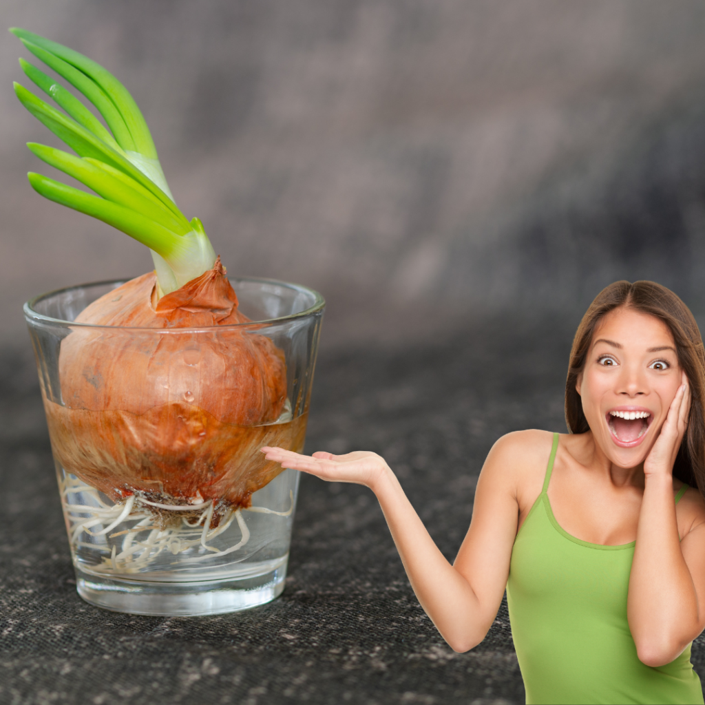 Una cebolla germinando en un vaso de agua con una mujer sorprendida