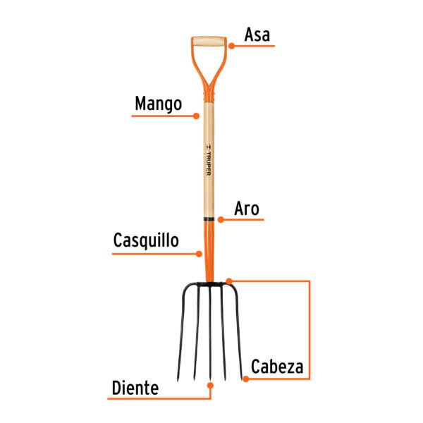Trinche/Bieldo para Paja con Mango de 34”, 5 Dientes, Truper - Imagen 2