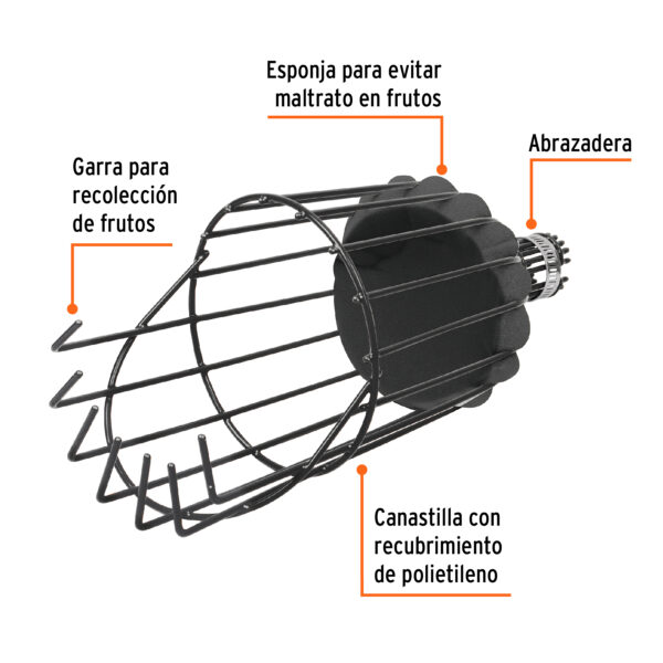 Recolector de Fruta sin Mango Truper - Imagen 3