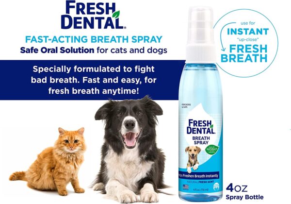 Spray Dental para Mascotas - Aliento Fresco Instantáneo | Fresh Dental Breath Spray - Imagen 3