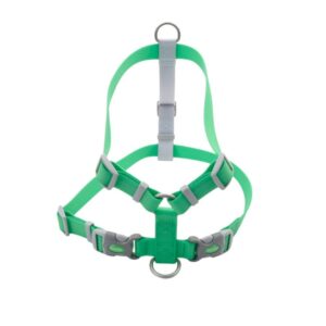 Arnés Coastal Pro Waterproof Verde Lima Talla S 16–24 Pulgadas
